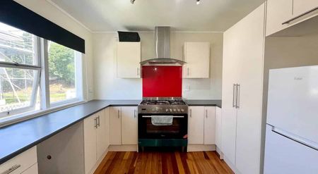 Elevated on Ewenson! - Photo 4