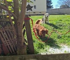 Appartement de 2 pièces avec terrasse - Photo 2
