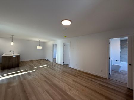 Appartement à louer - Thetford Mines (Thetford Mines) - Photo 4