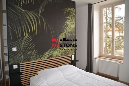 CHATILLON SUR CHALARONNE – A LOUER – T2 ENTIEREMENT MEUBLÉ - Photo 3