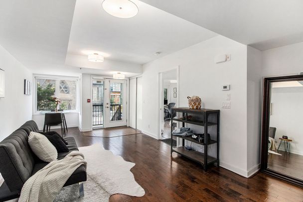 For Lease - 146 Daly Avenue Unit# 201, Lower Town - Sandy Hill, Ontario - Photo 1