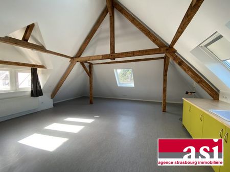 Spacieux 1 pièce type loft avec jardin - Photo 3