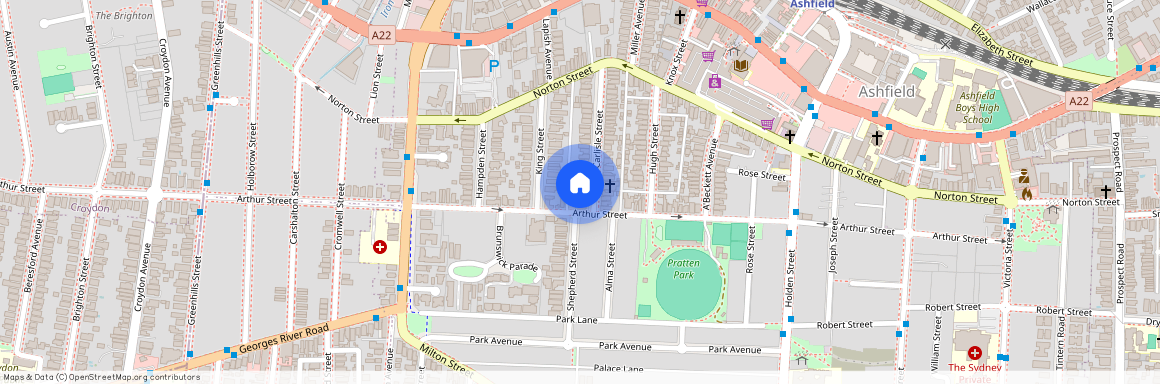 45 Carlisle Street, NSW 2131, Ashfield