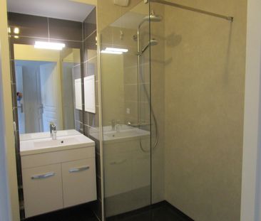 Appartement RUE LEONE LALIRE - Photo 5