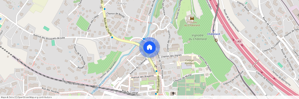 Rue du Sacre-du-Printemps 11b, 1815, Clarens