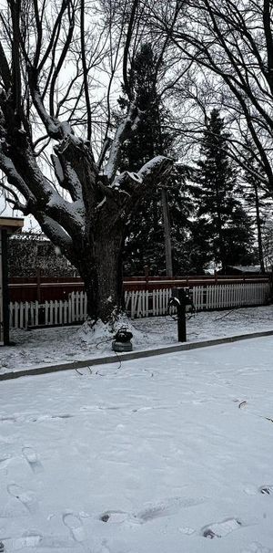 4 1/2 à louer, St-Jean-Sur-Richelieu, construction neuve, borne électrique - Photo 1