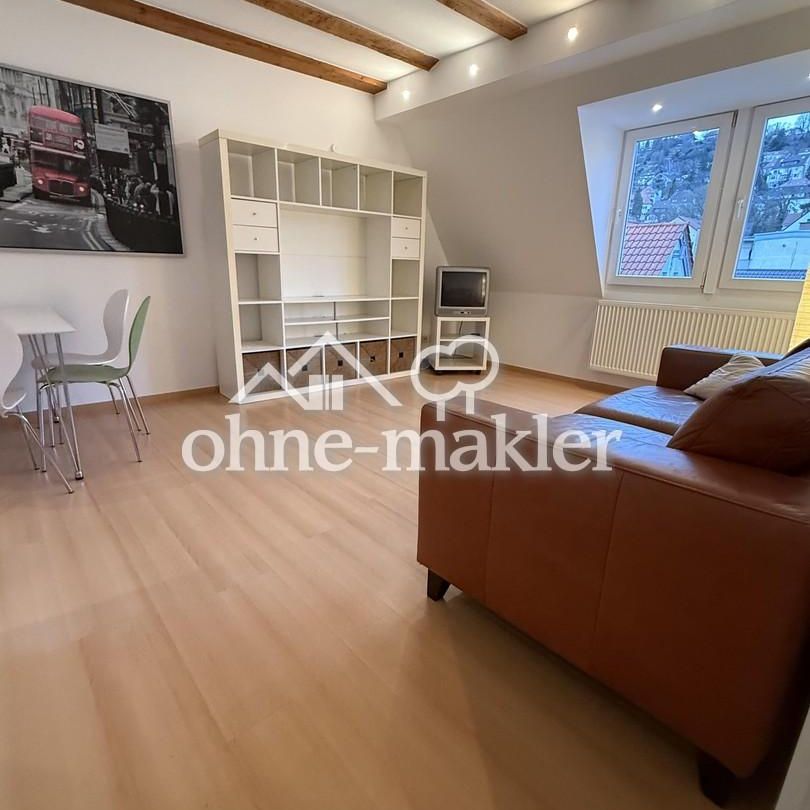 Komplett möblierte 2 Zi Whg. (nur für 1 Person) mit Aussicht zum Hasenberg (Kulturdenkmal) - Photo 1