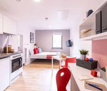 Luxury Studio - Photo 5