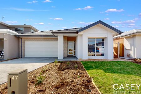 47 Contata Grove, Junction Village - Photo 4