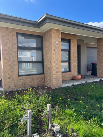 Donnybrook - Photo 4