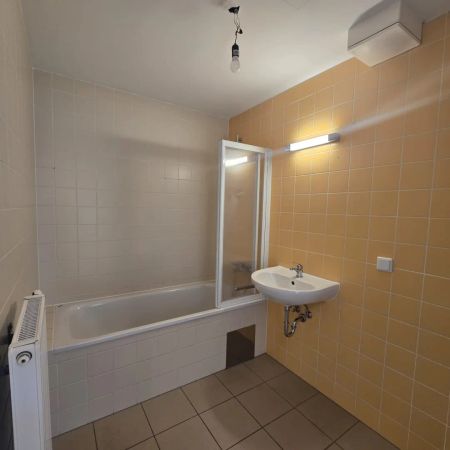 Frühlingsgefühle auf der eigenen TERRASSE über den Dächern von Wien! - Foto 5