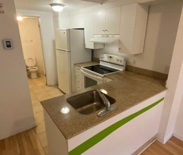 Studio - Montréal - $995 /mo - Photo 2