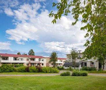 Frögatan 51 - Foto 6