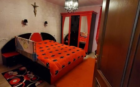 Arad casa de inchiriat 8 camere in Livada - Fotografie 5