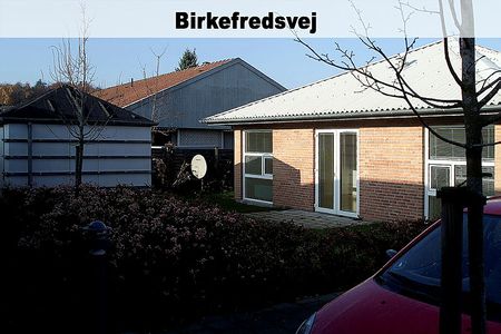 Rørsangervej,Teglvænget,Birkefredsvej 446-0 - Photo 2