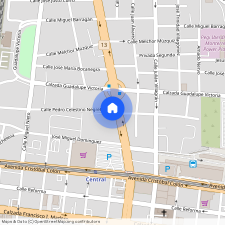 Calle Pedro Celestino Negrete, Industrial, Monterrey, Nuevo León, 64480, México