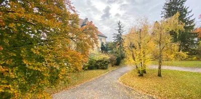 Helle 3,5-Zimmer-Wohnung mit Balkon - Photo 2
