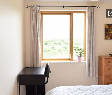 Decorated room in 3-bedroom apartment in Dublin - Photo 1