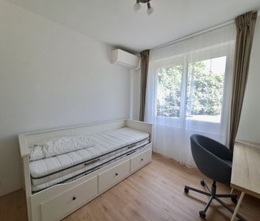 Location Maison 4 pièces 89m² MARTILLAC 33650 - Photo 4
