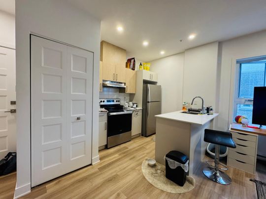 Unit 305: Entire unit - Photo 1