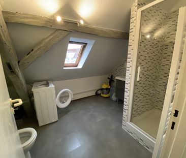 Location Appartement 1 pièce 20m² HOENHEIM 67800 - Photo 3