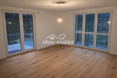 Wunderschöne 4-Zimmer-Whg auf ehemaligem Bauernhof inmitten herrlicher Natur - nachhaltige Energie - Foto 2