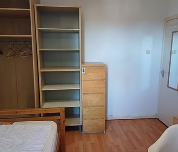 Room in a Shared Flat, Risley Avenue, N17 - Photo 3
