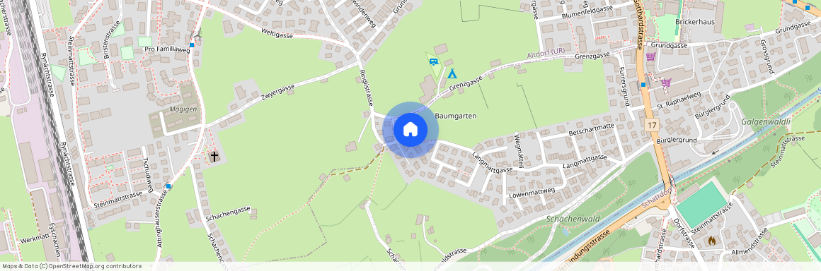 6460, Altdorf UR, Langmattgasse, 78