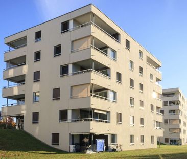 Appartement de 3,5 pièces à louer au rez-de-chaussée ! - Photo 3