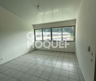 Appartement Remire Montjoly 2 pièce(s) 44.3 m2 - Photo 1