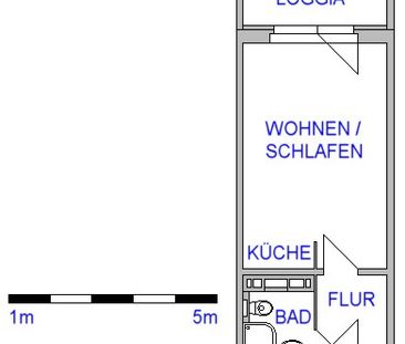 Sofort verfügbare 1-Raum-Wohnung im Zentrum - Foto 5