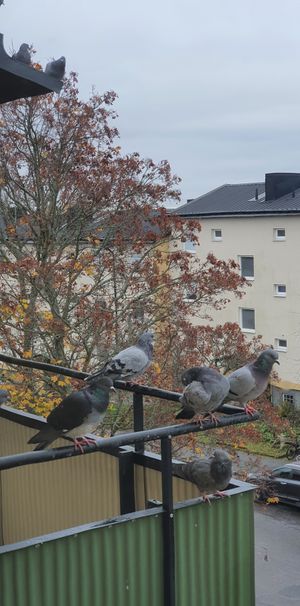Stövargatan, Bandhagen - Photo 2