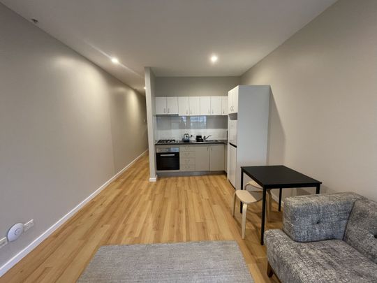 11 Smail Street, Ultimo NSW 2007 - Apartment For Rent | Domain - Photo 1