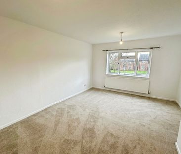 Vulcan Drive - Photo 6