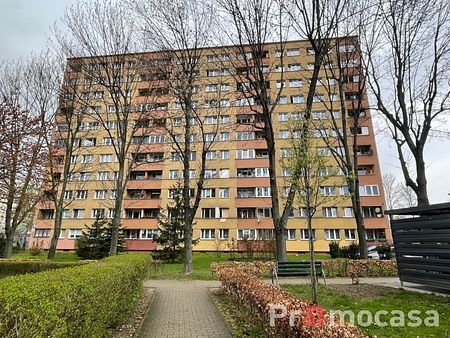 Mieszkanie na wynajem – Kraków – Bieńczyce – os. Albertyńskie – 37 m² - Zdjęcie 2