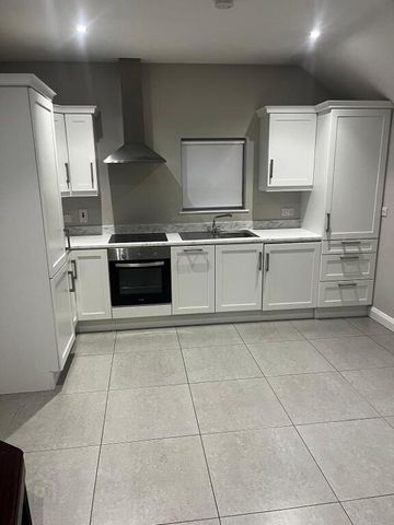 Unit 12, Birches Grove, The Birches, Craigavon, BT62 1DX - Photo 4