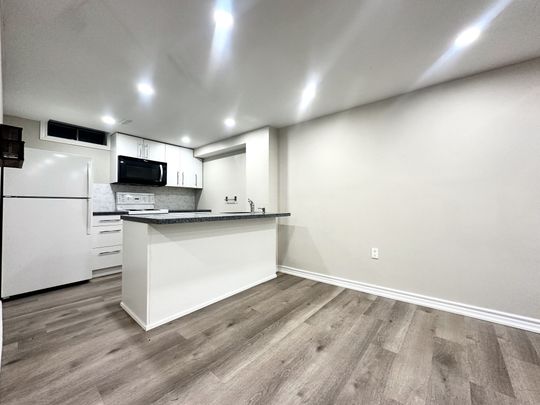 For Lease - 60 Steepleview Crescent Unit# Basement, Richmond Hill, Ontario - Photo 1