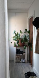Logement 1 chambre et 1 salle de bain- animaux acceptés - Photo 3
