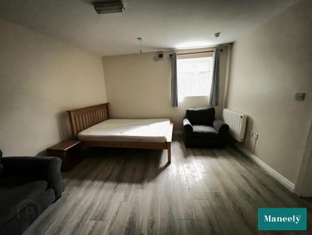 7b Hillview Terrace, Omagh, BT79 7DA - Photo 5