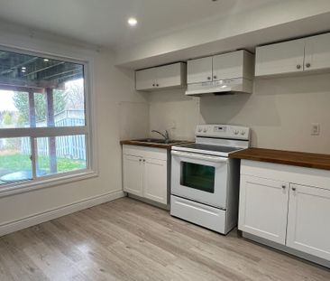 For Lease - 367 Silken Laumann Drive Unit# Bmnt, Newmarket, Ontario - Photo 3