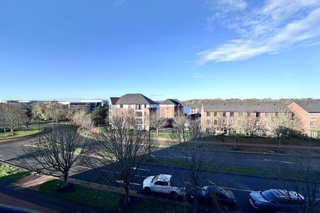 Lakeside Boulevard - Photo 5