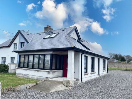 Upper Kilree Street, Muine Bheag, Co. Carlow, R21 WP30 - Photo 3