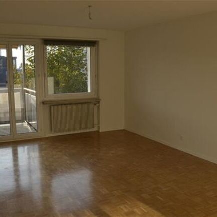 VIVRE CALME ET CENTRAL - Foto 1