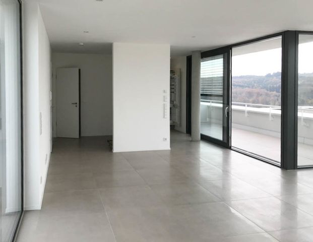Erstklassiges 2-ZI.-PENTHOUSE Blaustein mit EBK, TG, sonnige Dachterrasse mit Panoramablick - Foto 1