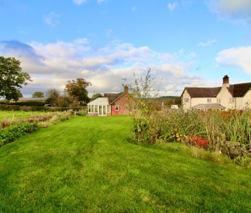 2 Bedroom Detached Bungalow To Rent - Photo 4