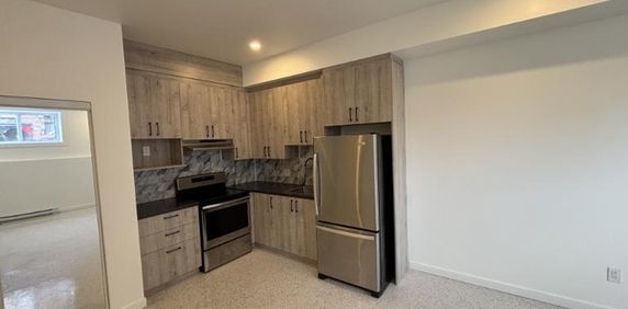 1 1/2 - Montréal (Saint-Henri) - 1 025 $/mois - Photo 2