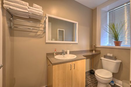 Condo for rent, Montréal (Ville-Marie) - Photo 5