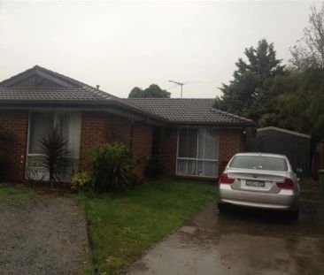 “A Berwick Beauty!” - Photo 2