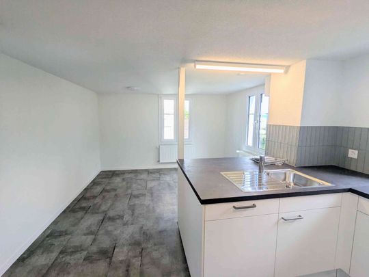 5.5 Zimmer, 120 m² - Foto 1