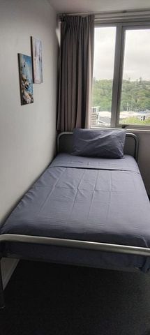 Central Auckland studio apartment Oasis with - Photo 3